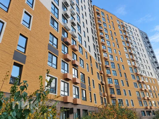 Студия, 23.5м², 36300 ₽/мес — фото № 6 Студия, 23.5м², 36300 ₽/мес — фото № 6