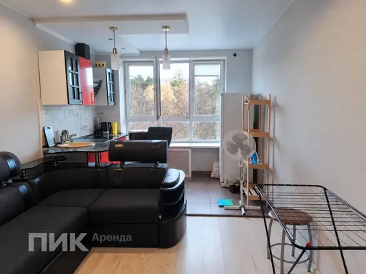 Студия, 23.5м², 36300 ₽/мес — фото № 1 Студия, 23.5м², 36300 ₽/мес — фото № 1