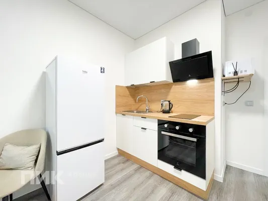 Студия, 25м², 35100 ₽/мес — фото № 5 Студия, 25м², 35100 ₽/мес — фото № 5
