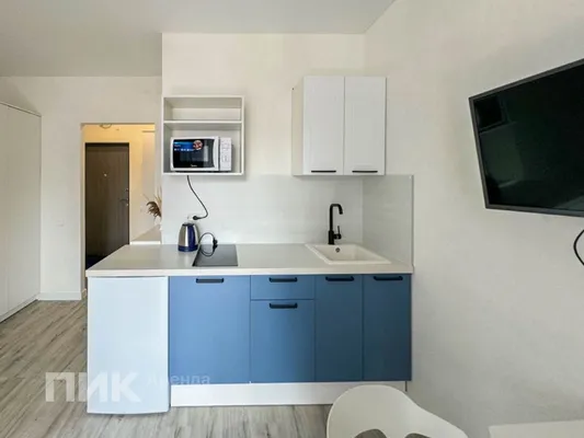 Студия, 21м², 39600 ₽/мес — фото № 4 Студия, 21м², 39600 ₽/мес — фото № 4