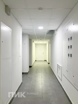 Студия, 19м², 38000 ₽/мес — фото № 10 Студия, 19м², 38000 ₽/мес — фото № 10