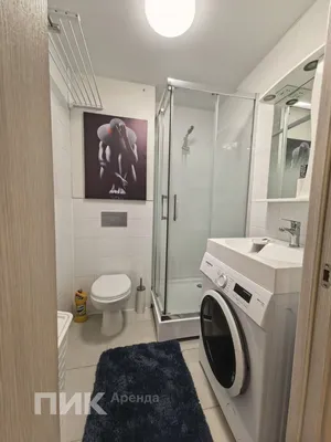 Студия, 25.3м², 68000 ₽/мес — фото № 8 Студия, 25.3м², 68000 ₽/мес — фото № 8