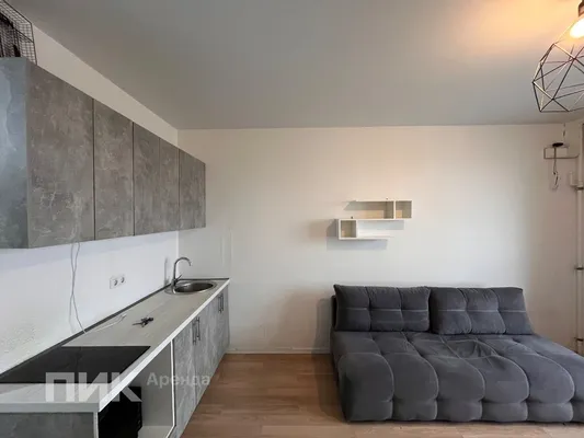 Студия, 22.8м², 45000 ₽/мес — фото № 3 Студия, 22.8м², 45000 ₽/мес — фото № 3