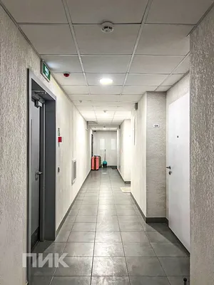 1-к квартира, 38м², 54800 ₽/мес — фото № 10 1-к квартира, 38м², 54800 ₽/мес — фото № 10