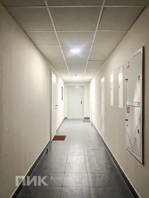 Студия, 20.1м², 55000 ₽/мес — фото № 8 Студия, 20.1м², 55000 ₽/мес — фото № 8