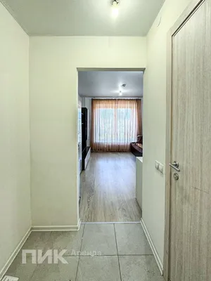 Студия, 19.4м², 50500 ₽/мес — фото № 5 Студия, 19.4м², 50500 ₽/мес — фото № 5