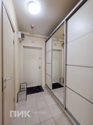 1-к квартира, 21.3м², 34100 ₽/мес — фото № 7 1-к квартира, 21.3м², 34100 ₽/мес — фото № 7