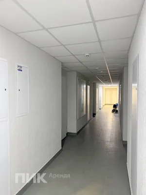 Студия, 19.8м², 44000 ₽/мес — фото № 9 Студия, 19.8м², 44000 ₽/мес — фото № 9