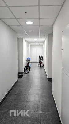 Студия, 21.5м², 39800 ₽/мес — фото № 5 Студия, 21.5м², 39800 ₽/мес — фото № 5