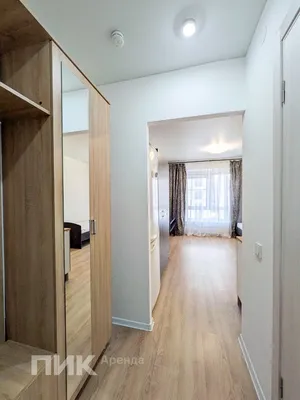 Студия, 20м², 35100 ₽/мес — фото № 7 Студия, 20м², 35100 ₽/мес — фото № 7