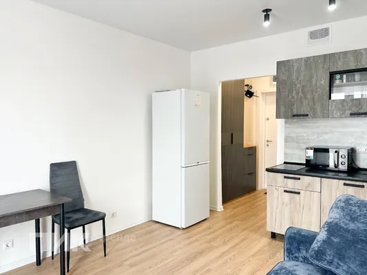 Студия, 21м², 41800 ₽/мес — фото № 3 Студия, 21м², 41800 ₽/мес — фото № 3