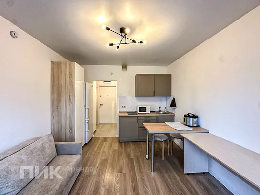 Студия, 19.7м², 46800 ₽/мес — фото № 4 Студия, 19.7м², 46800 ₽/мес — фото № 4