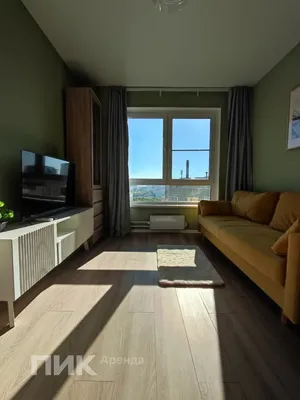 2-к квартира, 50.5м², 100000 ₽/мес — фото № 1 2-к квартира, 50.5м², 100000 ₽/мес — фото № 1