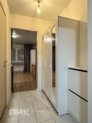 Студия, 19.9м², 59000 ₽/мес — фото № 8 Студия, 19.9м², 59000 ₽/мес — фото № 8