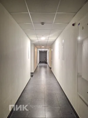 Студия, 19.5м², 64000 ₽/мес — фото № 10 Студия, 19.5м², 64000 ₽/мес — фото № 10