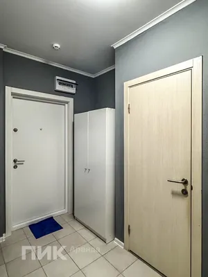 Студия, 33.6м², 52500 ₽/мес — фото № 8 Студия, 33.6м², 52500 ₽/мес — фото № 8