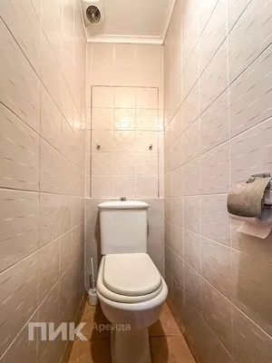 2-к квартира, 39м², 61000 ₽/мес — фото № 8 2-к квартира, 39м², 61000 ₽/мес — фото № 8