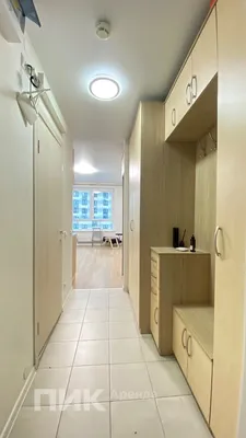 Студия, 21.1м², 51600 ₽/мес — фото № 6 Студия, 21.1м², 51600 ₽/мес — фото № 6