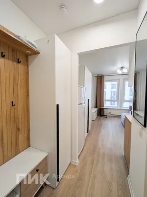 Студия, 19.6м², 34100 ₽/мес — фото № 6 Студия, 19.6м², 34100 ₽/мес — фото № 6