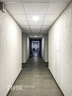 Студия, 23.3м², 38400 ₽/мес — фото № 9 Студия, 23.3м², 38400 ₽/мес — фото № 9