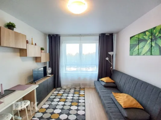 Студия, 20м², 40000 ₽/мес — фото № 1 Студия, 20м², 40000 ₽/мес — фото № 1