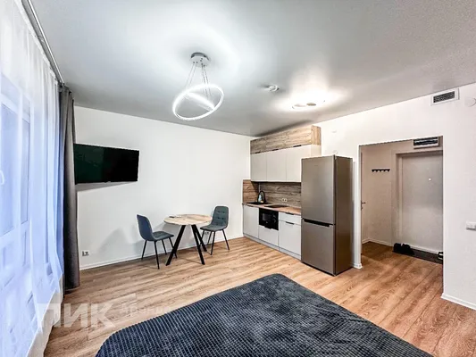 Студия, 25.8м², 45000 ₽/мес — фото № 3 Студия, 25.8м², 45000 ₽/мес — фото № 3