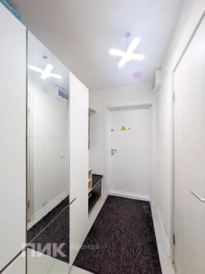 1-к квартира, 18.8м², 34100 ₽/мес — фото № 7 1-к квартира, 18.8м², 34100 ₽/мес — фото № 7