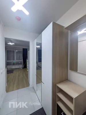 1-к квартира, 18.8м², 34100 ₽/мес — фото № 6 1-к квартира, 18.8м², 34100 ₽/мес — фото № 6