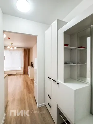 Студия, 19.5м², 41500 ₽/мес — фото № 7 Студия, 19.5м², 41500 ₽/мес — фото № 7