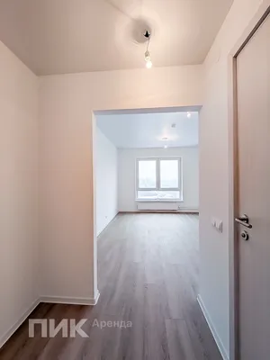 Студия, 24м², 29800 ₽/мес — фото № 6 Студия, 24м², 29800 ₽/мес — фото № 6