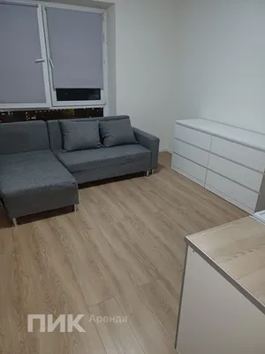 Студия, 23.7м², 38400 ₽/мес — фото № 2 Студия, 23.7м², 38400 ₽/мес — фото № 2