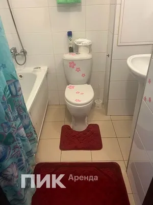 Студия, 23.1м², 30800 ₽/мес — фото № 6 Студия, 23.1м², 30800 ₽/мес — фото № 6