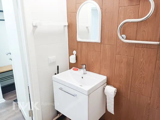 1-к квартира, 31м², 29900 ₽/мес — фото № 9 1-к квартира, 31м², 29900 ₽/мес — фото № 9