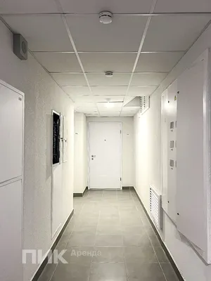 Студия, 19.9м², 37400 ₽/мес — фото № 10 Студия, 19.9м², 37400 ₽/мес — фото № 10