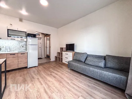 Студия, 23.2м², 40100 ₽/мес — фото № 3 Студия, 23.2м², 40100 ₽/мес — фото № 3