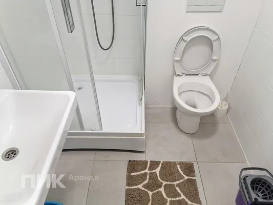 Студия, 24м², 35100 ₽/мес — фото № 6 Студия, 24м², 35100 ₽/мес — фото № 6