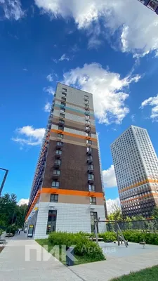 Студия, 25.2м², 53900 ₽/мес — фото № 10 Студия, 25.2м², 53900 ₽/мес — фото № 10