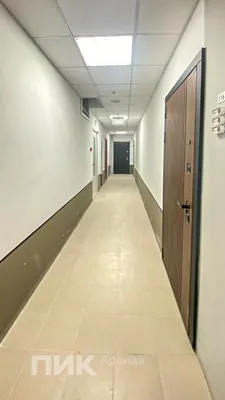 Студия, 25.9м², 77900 ₽/мес — фото № 10 Студия, 25.9м², 77900 ₽/мес — фото № 10