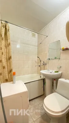 1-к квартира, 28.9м², 51000 ₽/мес — фото № 6 1-к квартира, 28.9м², 51000 ₽/мес — фото № 6