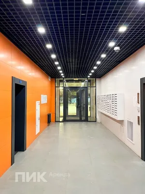 1-к квартира, 44.9м², 49900 ₽/мес — фото № 10 1-к квартира, 44.9м², 49900 ₽/мес — фото № 10