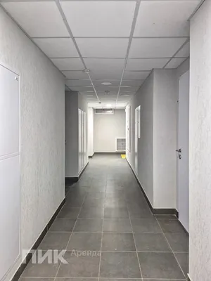 2-к квартира, 34м², 71300 ₽/мес — фото № 10 2-к квартира, 34м², 71300 ₽/мес — фото № 10