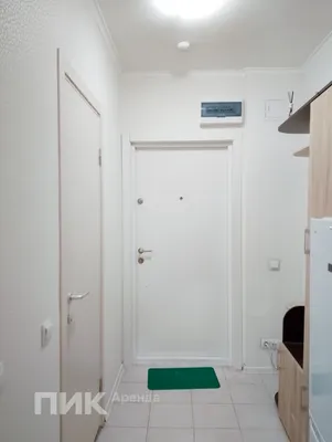 Студия, 22.6м², 40000 ₽/мес — фото № 8 Студия, 22.6м², 40000 ₽/мес — фото № 8