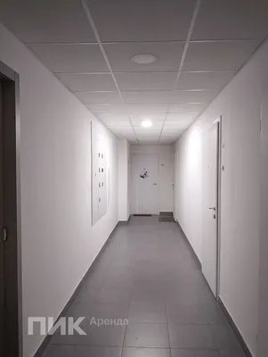 Студия, 22.6м², 40000 ₽/мес — фото № 9 Студия, 22.6м², 40000 ₽/мес — фото № 9