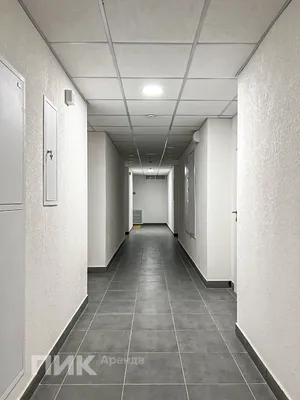 Студия, 19м², 32900 ₽/мес — фото № 10 Студия, 19м², 32900 ₽/мес — фото № 10