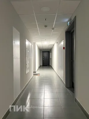 Студия, 20м², 54000 ₽/мес — фото № 8 Студия, 20м², 54000 ₽/мес — фото № 8