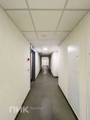 Студия, 19.8м², 38000 ₽/мес — фото № 10 Студия, 19.8м², 38000 ₽/мес — фото № 10