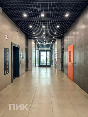 Студия, 19.8м², 31000 ₽/мес — фото № 9 Студия, 19.8м², 31000 ₽/мес — фото № 9