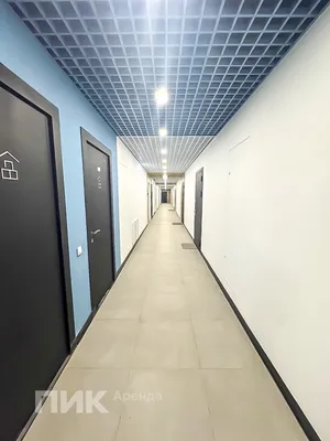 2-к квартира, 37.65м², 72700 ₽/мес — фото № 9 2-к квартира, 37.65м², 72700 ₽/мес — фото № 9