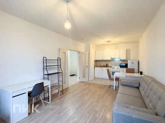 1-к квартира, 46.5м², 55000 ₽/мес — фото № 4 1-к квартира, 46.5м², 55000 ₽/мес — фото № 4