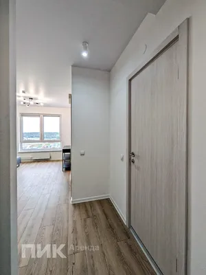 2-к квартира, 31м², 44000 ₽/мес — фото № 9 2-к квартира, 31м², 44000 ₽/мес — фото № 9
